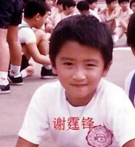 谢霆锋父母离异_谢霆锋淡出娱乐圈_谢霆锋单亲家庭成长经历